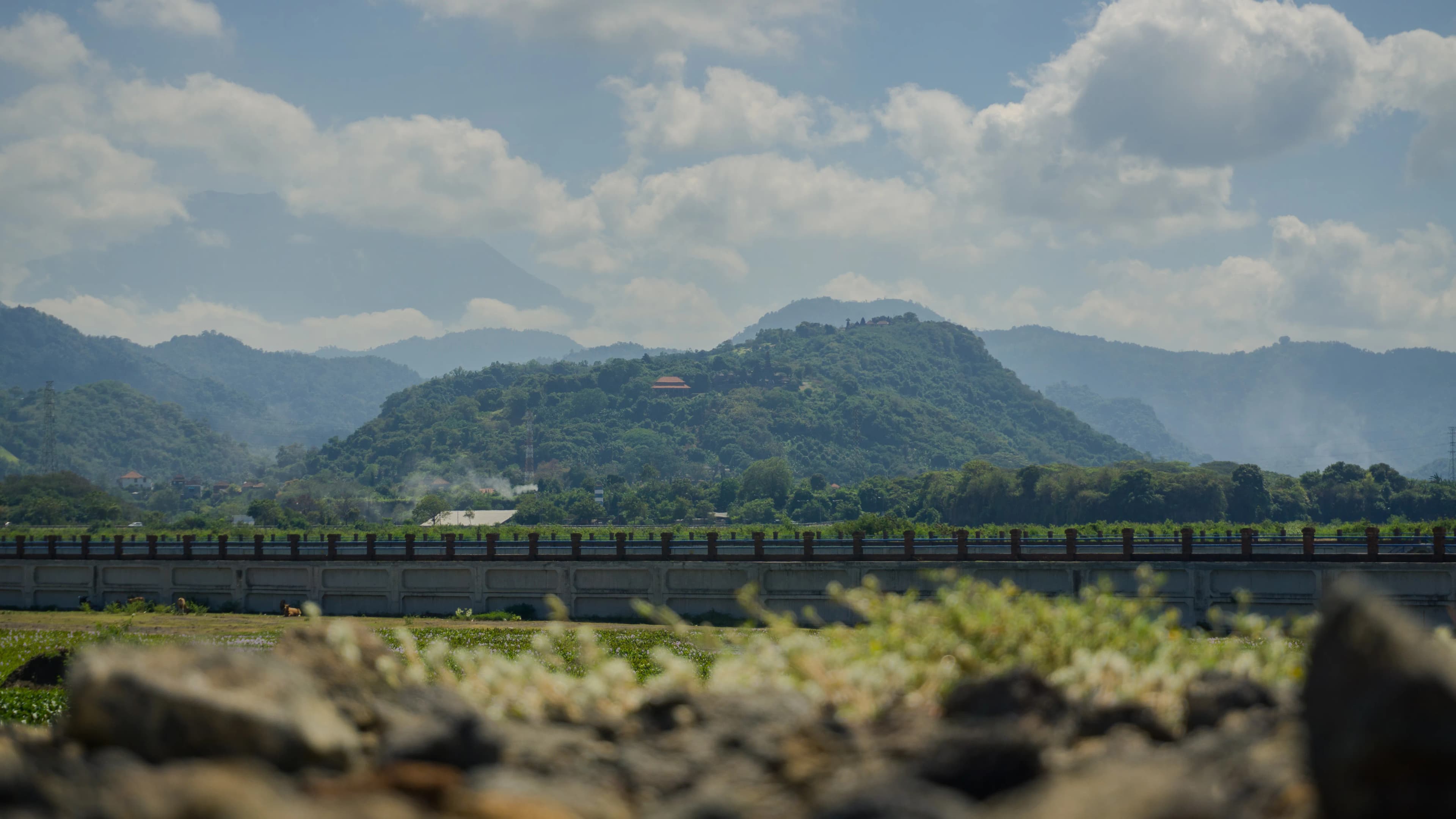 Fisherman black and white